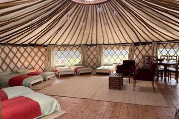 Glamping for 6 People in Fernhurst, West Sussex, Photo 4