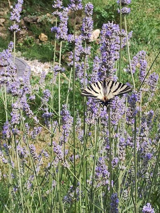 Chambre d’hôte pour 6 personnes, avec jardin à Marigné-Laillé