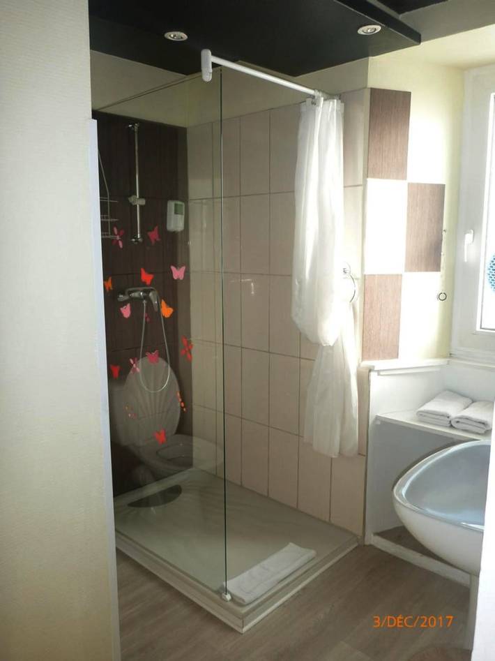 Hôtel pour 3 personnes, avec jardin et sauna ainsi que piscine et vue, animaux acceptés à Saint-Cirgues-de-Jordanne - 4