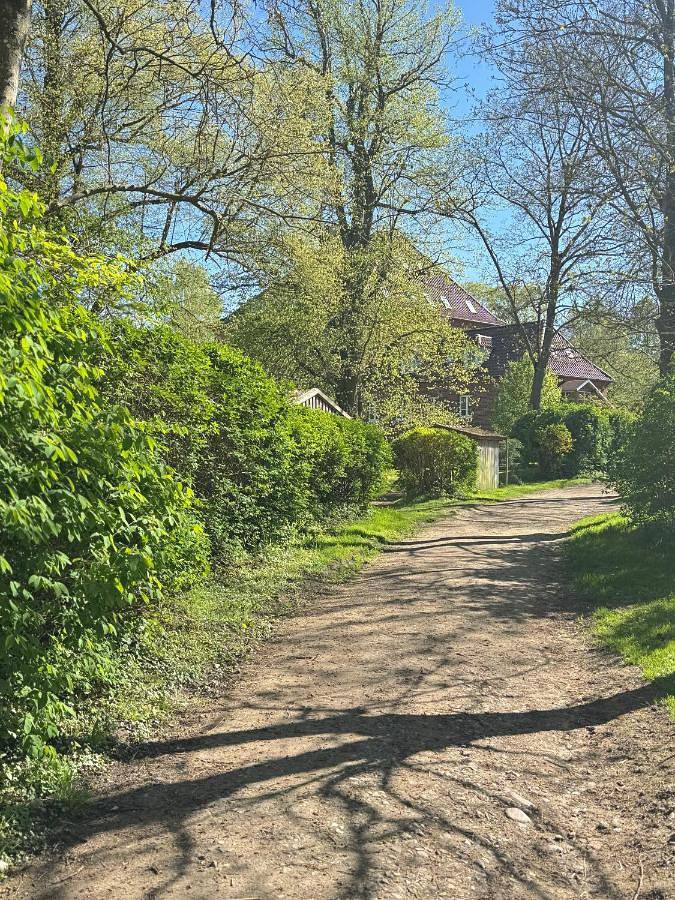 Villa für 28 Personen, mit Garten und Ausblick sowie Sauna, mit Haustier in Mecklenburgische Schweiz - 2