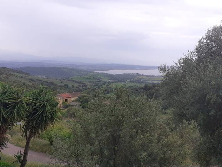 Zimmer für 2 Personen, mit Seeblick und Garten - 1