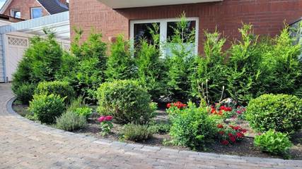 Strandhaus für 2 Personen in Borkum, Ostfriesische Inseln, Bild 1