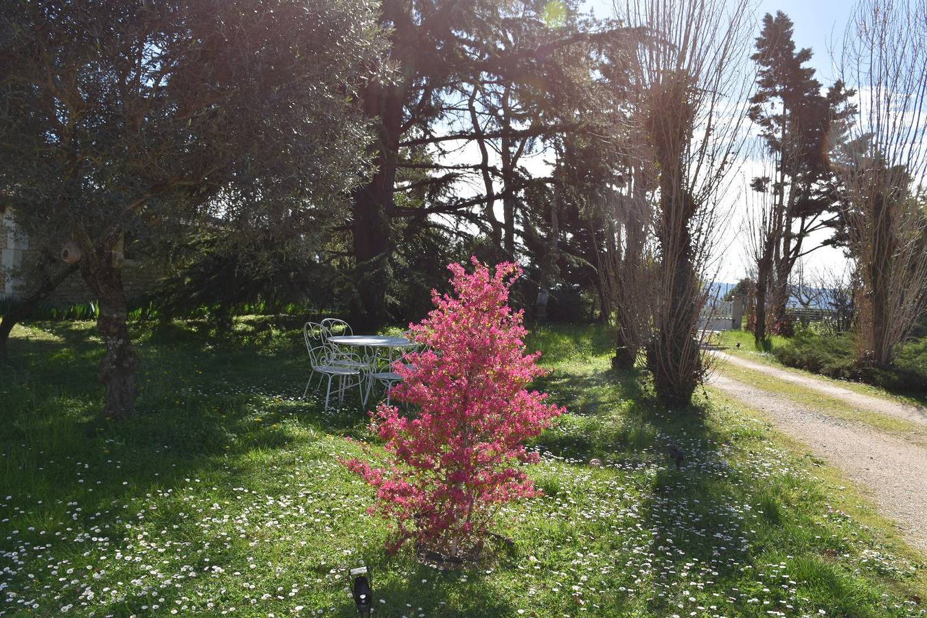 L'Aubier du Tilleul - Figuier in Chanos-Curson, Région de Valence