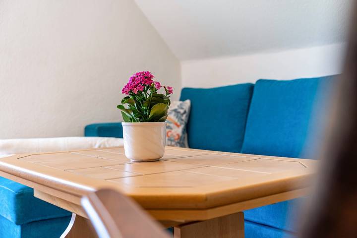 Ferienwohnung für 3 Personen, mit Garten und Seeblick in Groß Zicker - 3