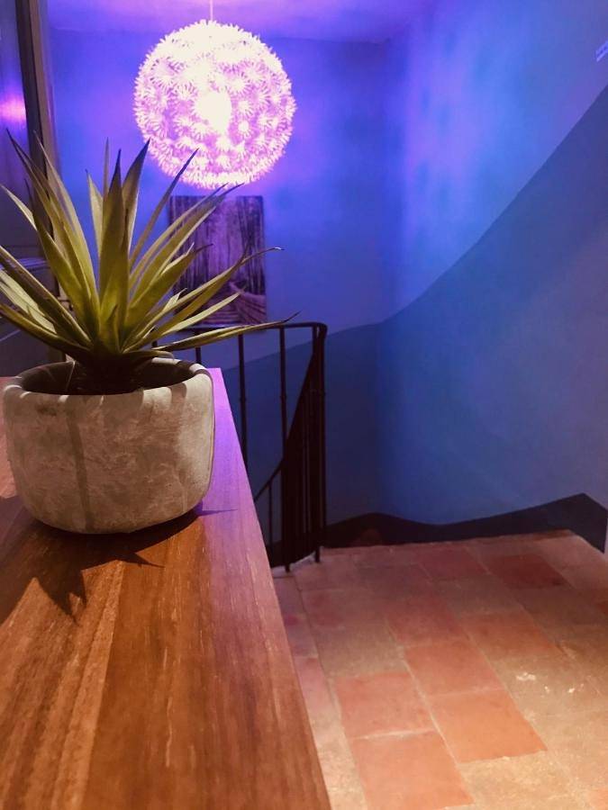 Chambre d’hôte pour 2 personnes, avec terrasse ainsi que jardin et vue à Olonzac - 2