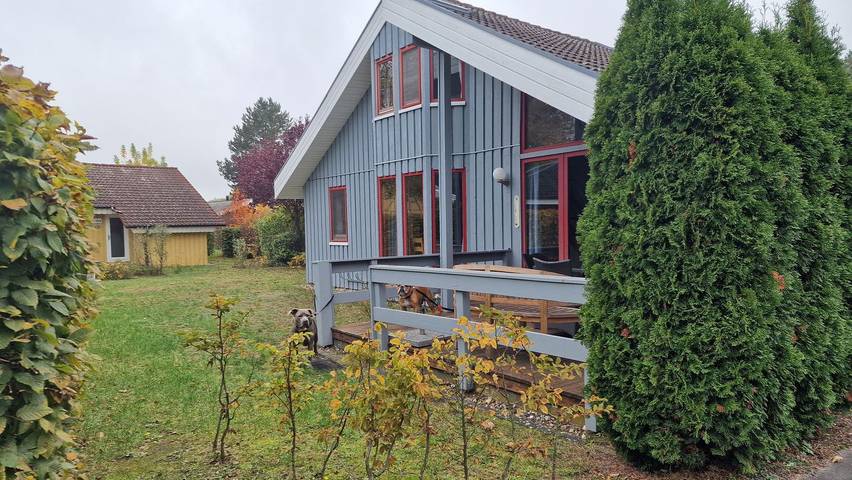 Ferienhaus für 6 Personen, mit Sauna und Garten sowie Terrasse, mit Haustier in Mirow - 4