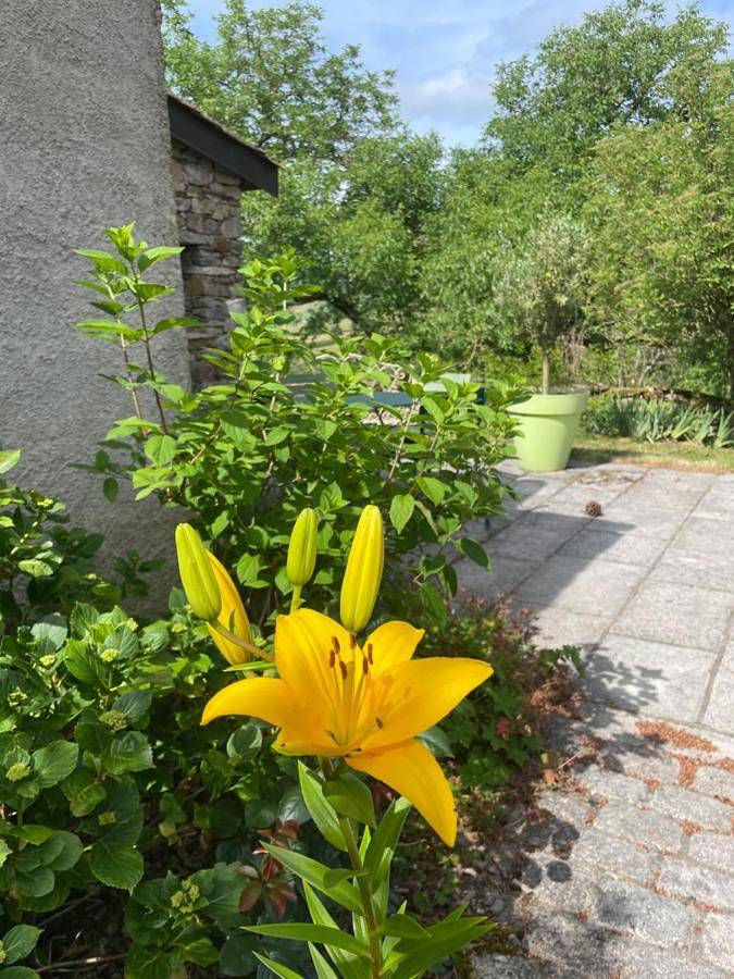 Gîte pour 6 personnes, avec Terrasse ainsi que Jardin et Vue dans Jalogny - 3