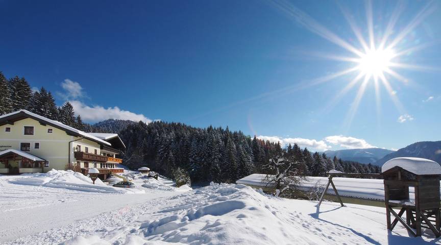Ganze Ferienwohnung, Appartement Almrausch/Fewo, 1 Schlafraum in Abtenau, Tennengau