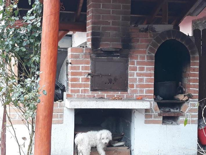 Chambre d’hôte pour 2 personnes, avec jardin et terrasse, animaux acceptés en Roumanie - 4