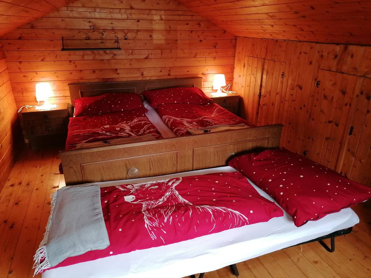 Ganze Ferienwohnung, Appartement/Fewo, Dusche oder Bad, Wc, 4 oder mehr in Aich, Schladming-Dachstein