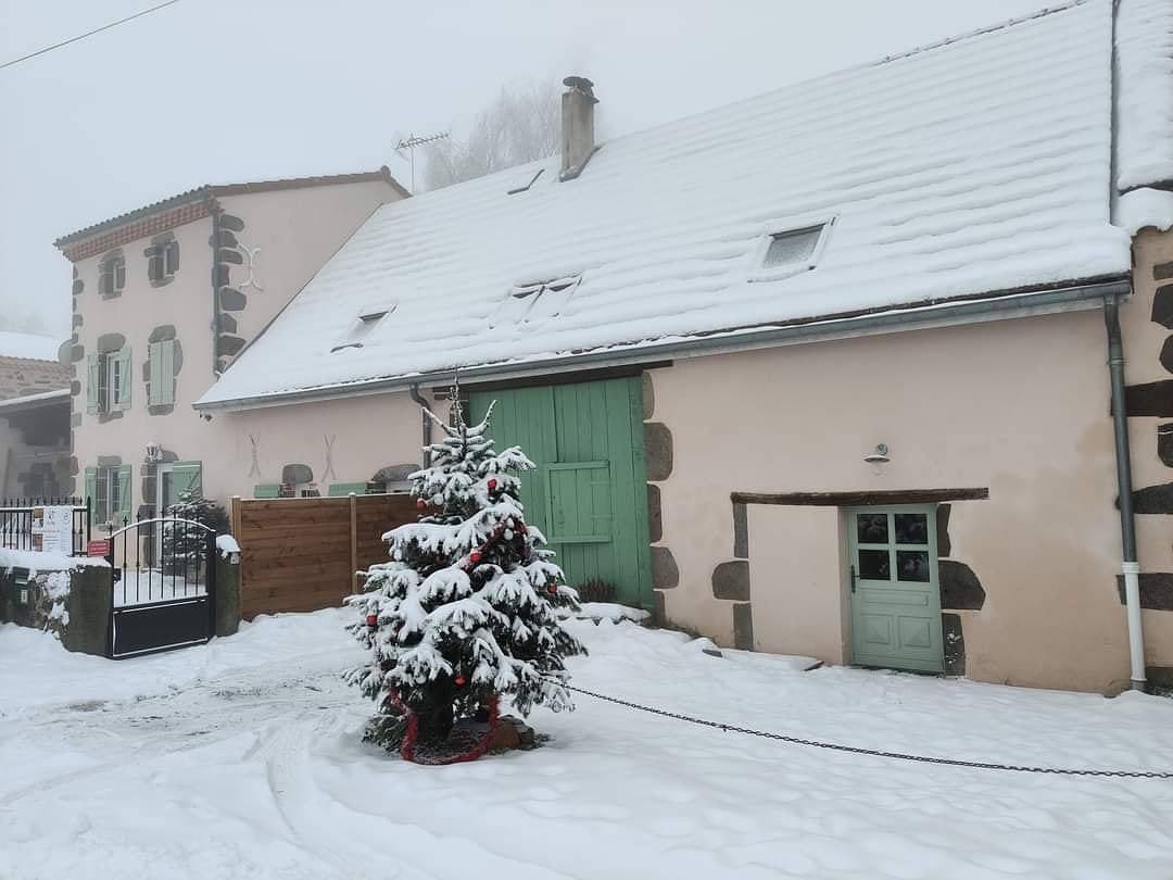 La Bergerie des Volcans - 100% Dog Friendly - Volcans à 4 pattes in Saint-Nectaire, Parc naturel régional des Volcans d'Auvergne