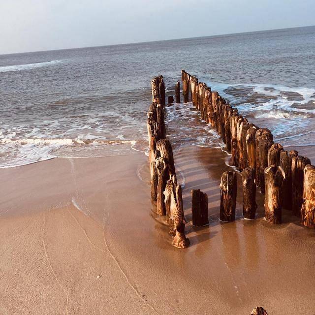 Ganze Ferienwohnung, Ferienwohnung Kiebitznest in Westerland, Sylt (Gemeinde)