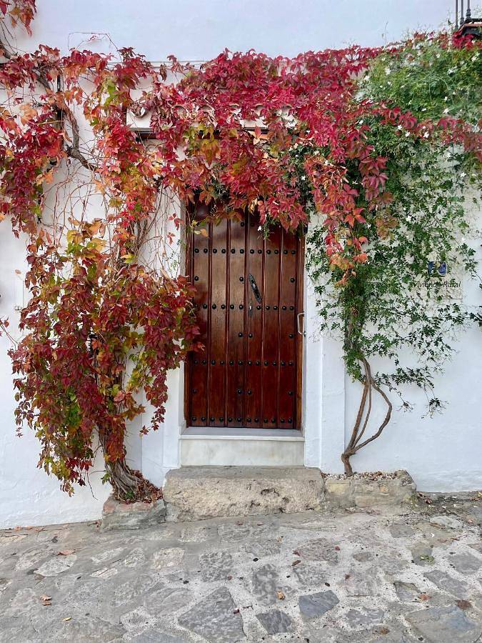 Gîte pour 3 personnes, avec jacuzzi à Grazalema - 2