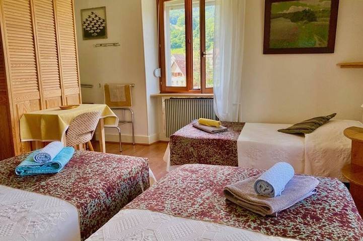 Ganze Wohnung, Apartment-Komfort-Ensuite-Bergblick-3ème étage - Balcon in Münster im Elsass, Regionaler Naturpark Belchen der Vogesen