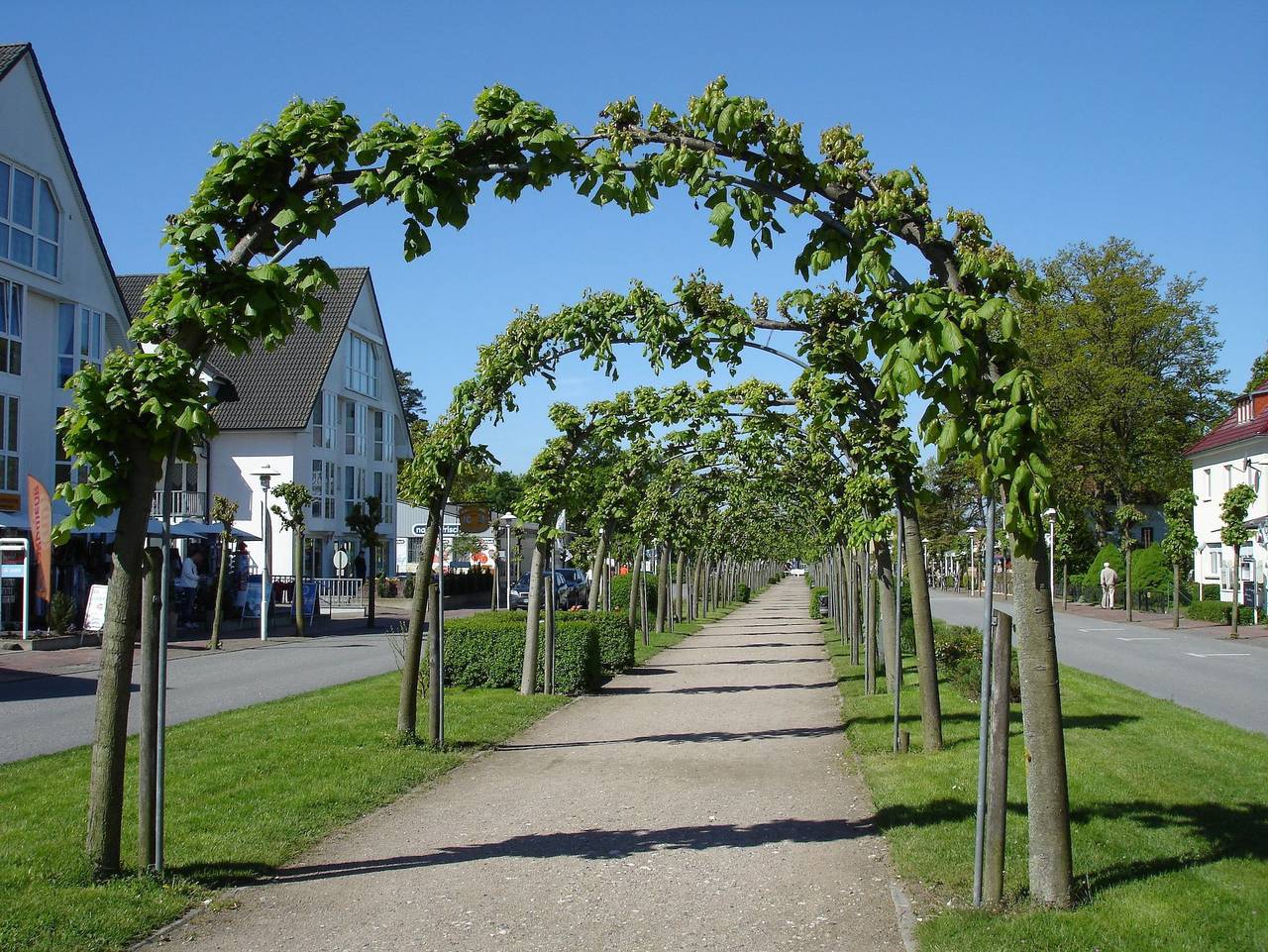Ganze Ferienwohnung, Ferienwohnung Strandvogel 3 - Ferienwohnung Strandvogel 3 Baabe in Baabe, Rügen