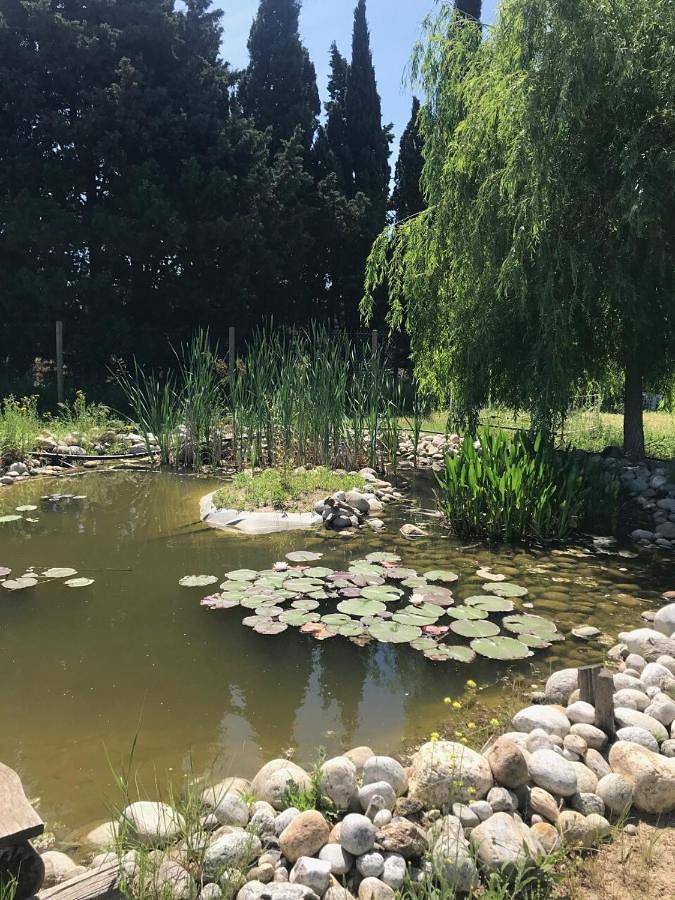 Location de vacances pour 4 personnes, avec vue ainsi que piscine et jardin à Théza - 3