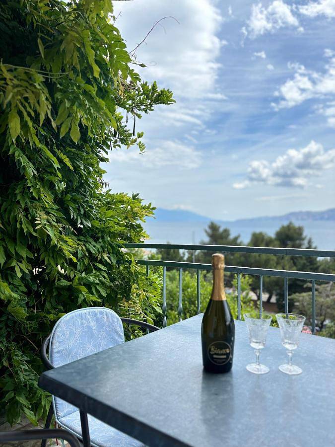 Chambre d’hôte pour 3 personnes, avec jardin et vue - 1