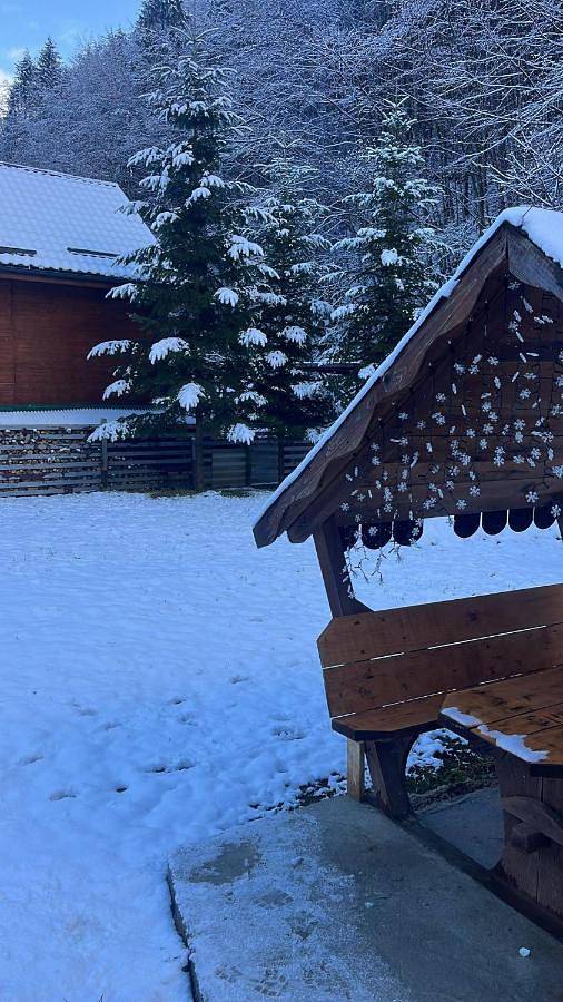 Location de vacances pour 12 personnes, avec vue ainsi que jardin et terrasse dans Cluj-Napoca - 2