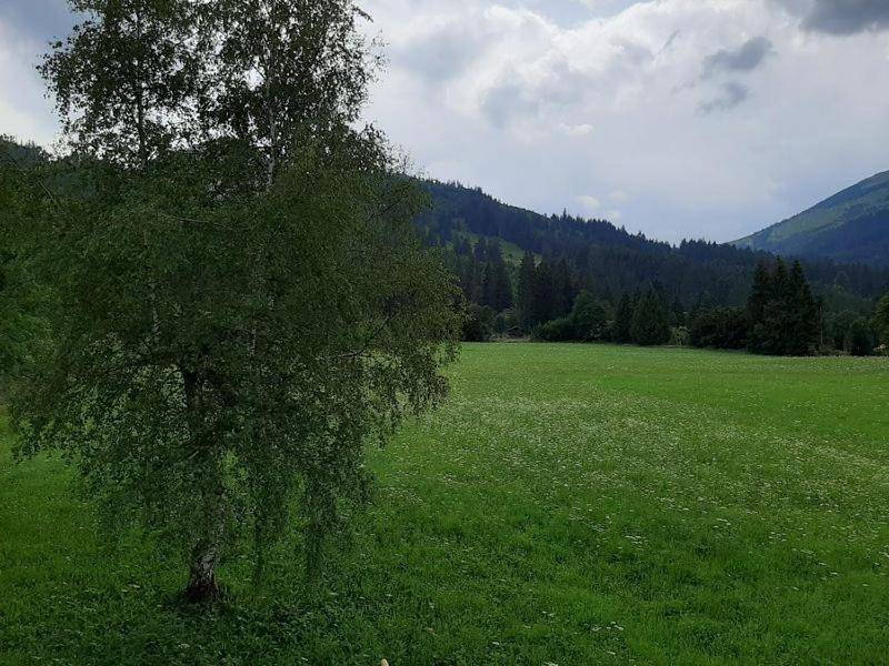 Ganze Wohnung, Gästehaus Koch in Zöblen, Allgäuer Alpen (Österreich)