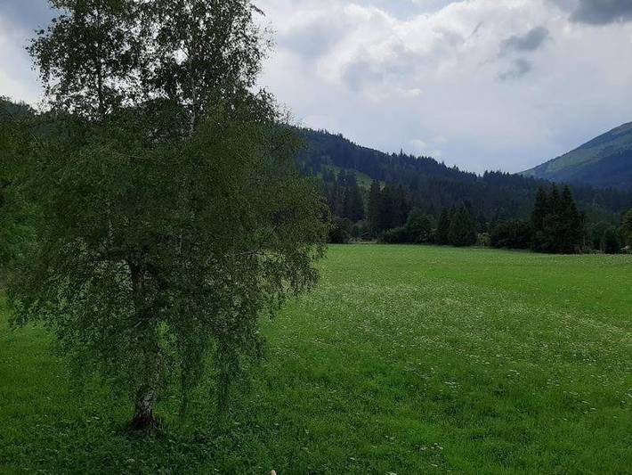 Ferienwohnung für 2 Personen, mit Balkon und Garten sowie Ausblick in Zöblen - 3