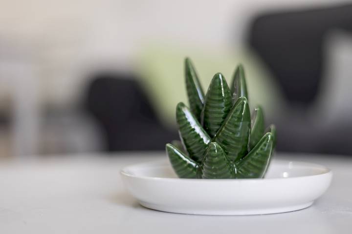 Gîte pour 4 personnes, avec terrasse à Tarajalejo - 3