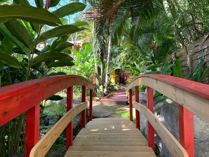 Gîte pour 6 personnes, avec jardin à Deshaies - 3
