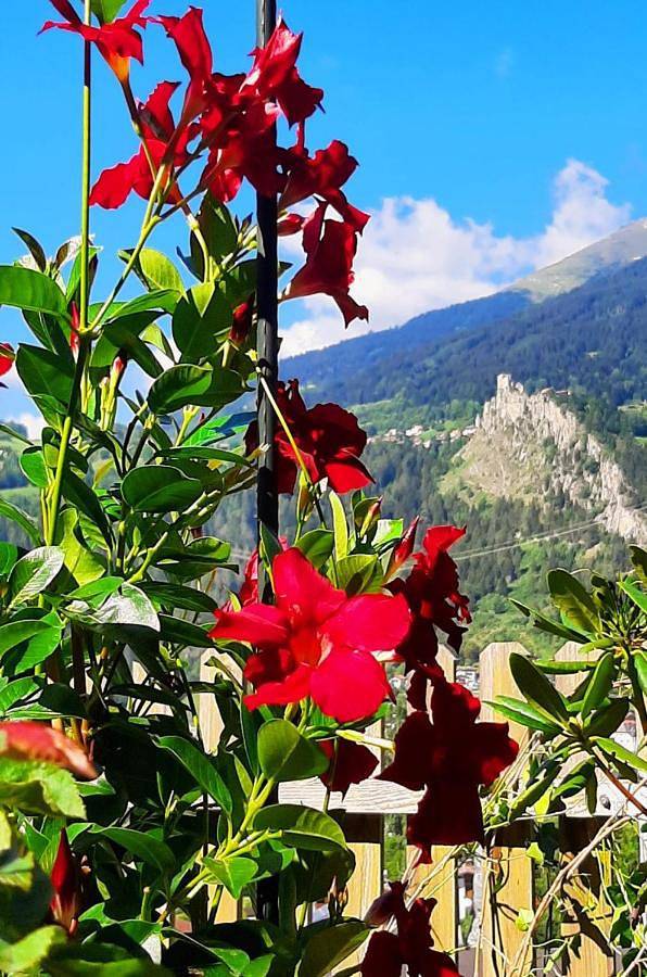 Ferienwohnung für 4 Personen, mit Garten und Ausblick