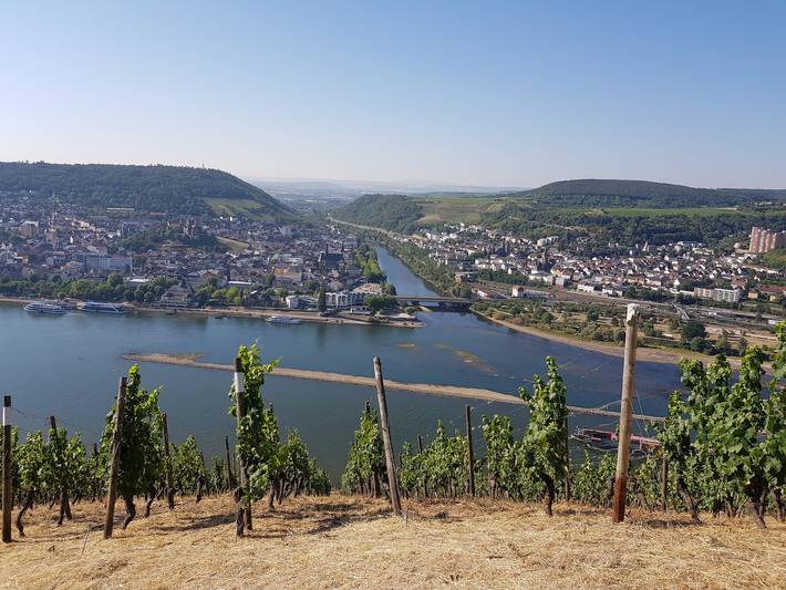 Ferienwohnung für 3 Personen, mit Balkon in Rüdesheim am Rhein - 2