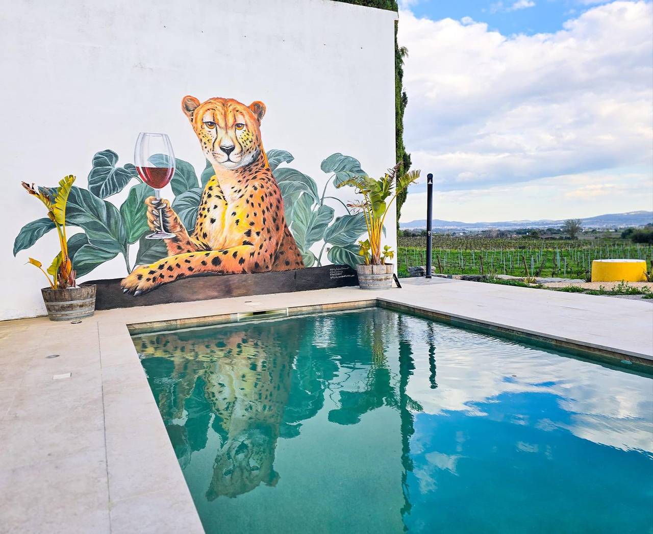 Holiday Home 'Lidia' with Mountain View, Private Pool and Wi-Fi in Sant Martí Sarroca, Barcelona inland