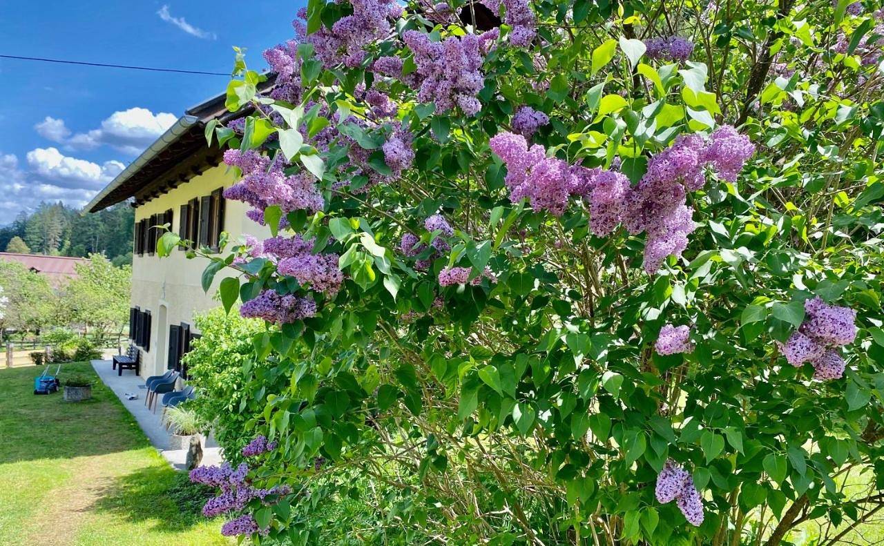 Ganze Wohnung, Two-Bedroom Apartment in Gailtaler Alpen, Greifenburg