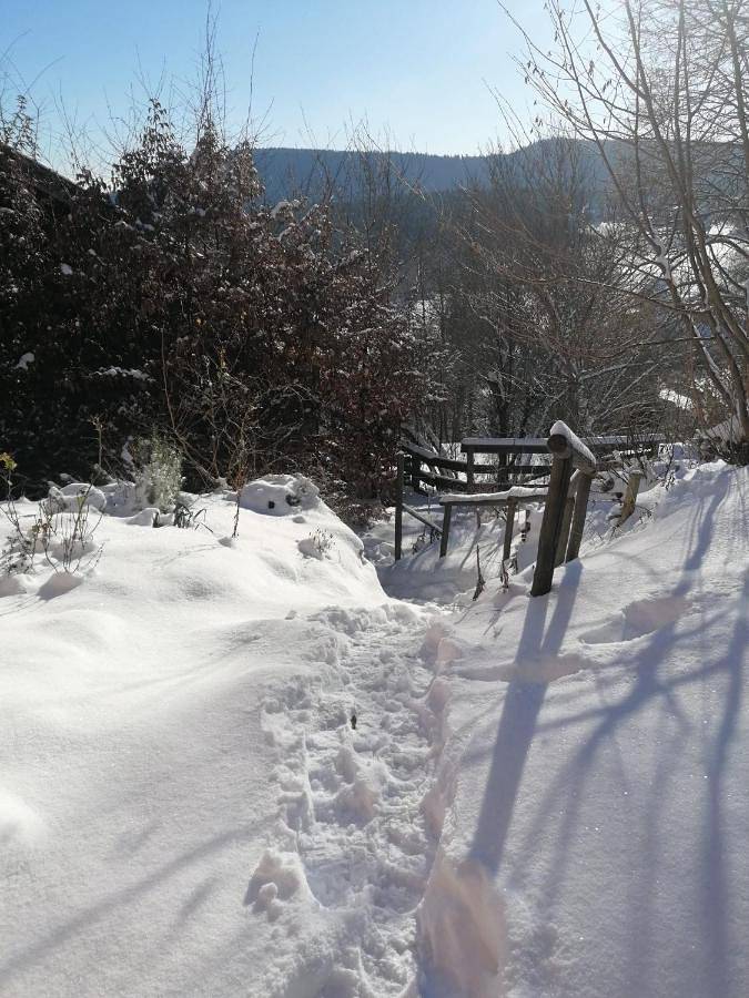 Gîte pour 4 personnes, avec vue et terrasse, animaux acceptés à Aubure - 3