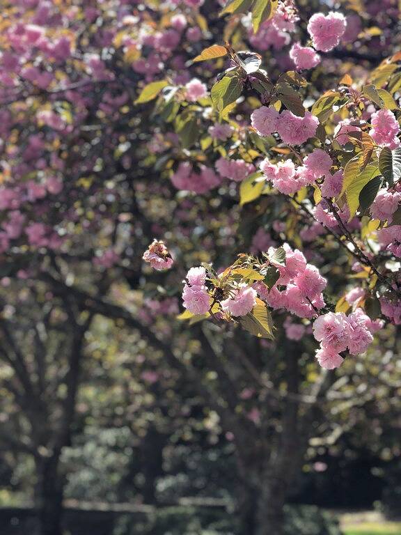 Modernes Haus im skandinavischen Stil am 7. Loch von Pinehurst # 1 in Pinehurst, Moore County