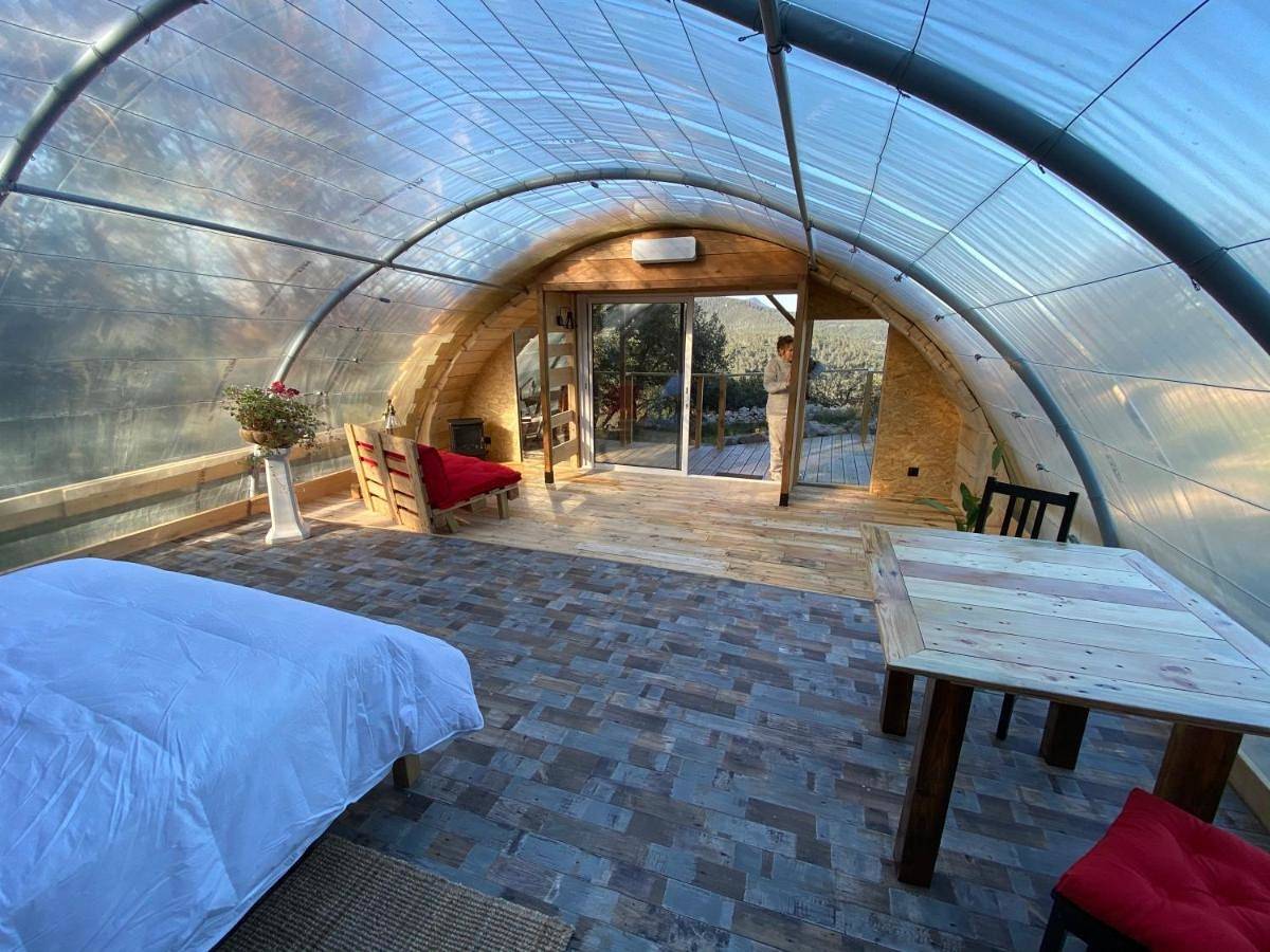 Les insolites de Taracopala in Solliès-Toucas, Côte méditerranéenne (France)