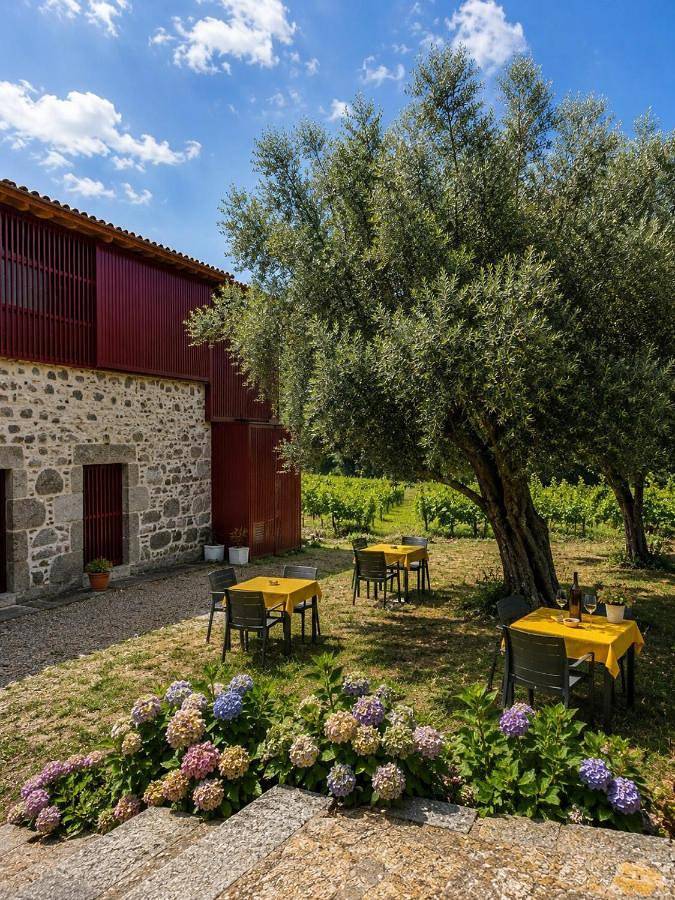 Quinta de Chousas - Braga - Agroturismo in Braga, Distrito de Braga