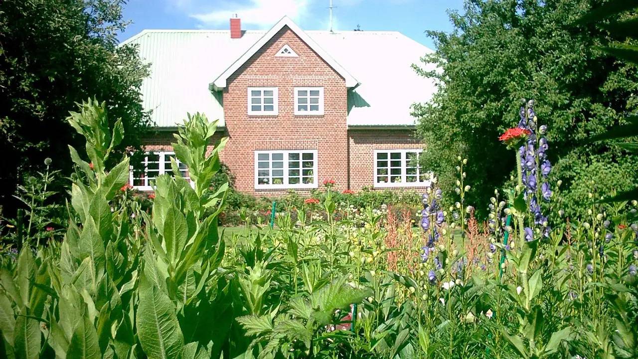 Ganze Ferienwohnung, Ferienwohnung für 2 Personen (60 m²) in Reußenköge in Reußenköge, Nordseeküste