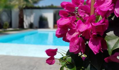 Cottage pour 2 personnes, avec jardin et piscine à Arbonne