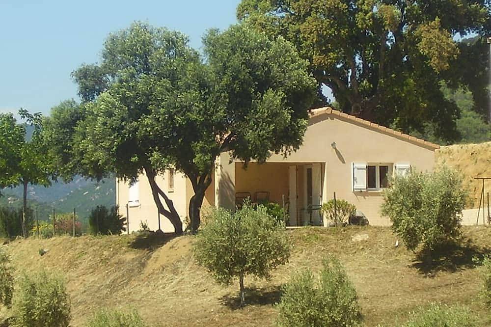The olive grove 1 - Sollacaro in Sollacaro, Distrito de Sartène