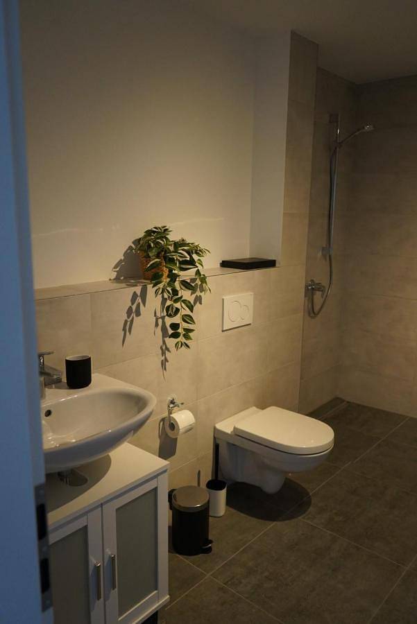 Gîte pour 4 personnes, avec terrasse à Mommenheim - 4