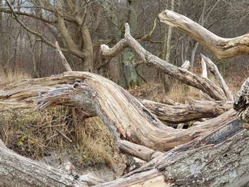Ferieudlejning til 6 Personer i Asnæs, Odsherred, Billede 3