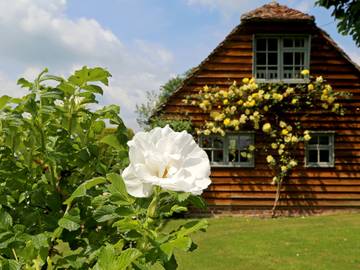 Log Cabin for 5 People in Wittersham, High Weald, Photo 1