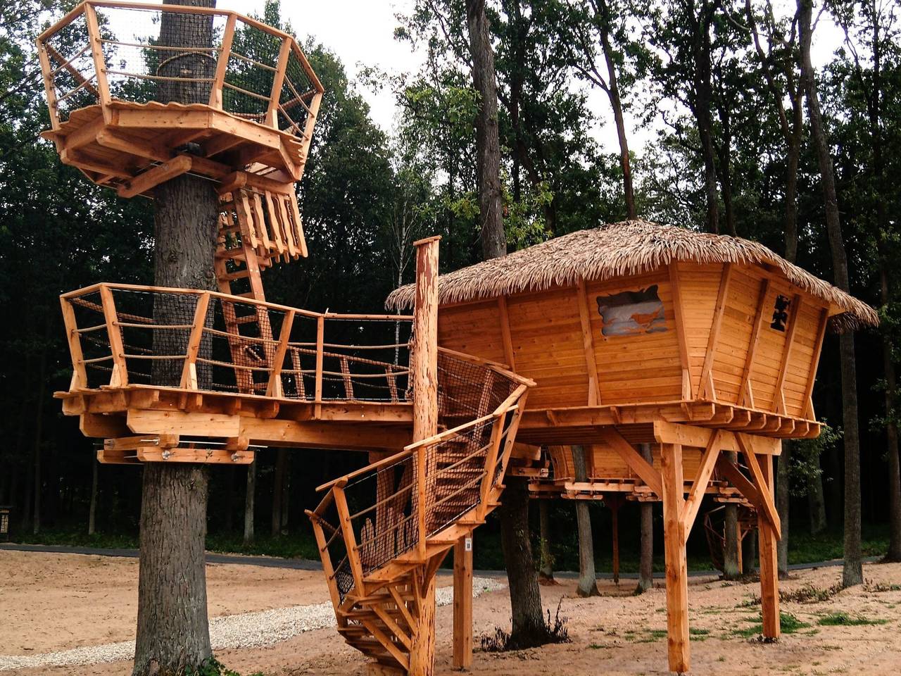 Treehouse 2 in Hradec Kralove, Hradec Králové Região