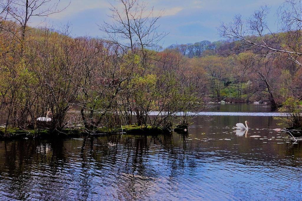Blockhaus auf einem See mit eigenem Dock! Eine Stunde von Nyc! in Putnam County