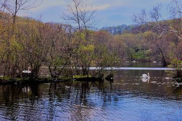 Log Cabin for 6 Guests in Putnam County, Picture 1
