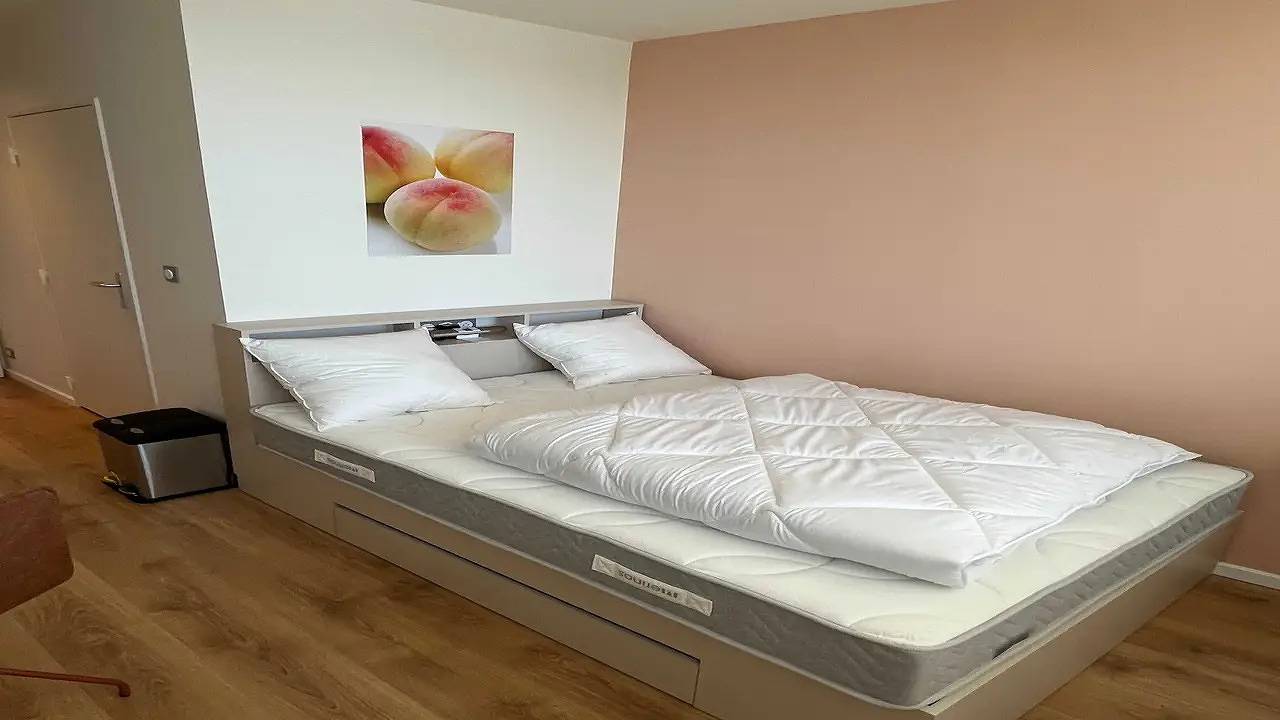 Monolocale intero, Studio für 1 Personen (15 m²) in Huningue in Huningue, Mulhouse e dintorni