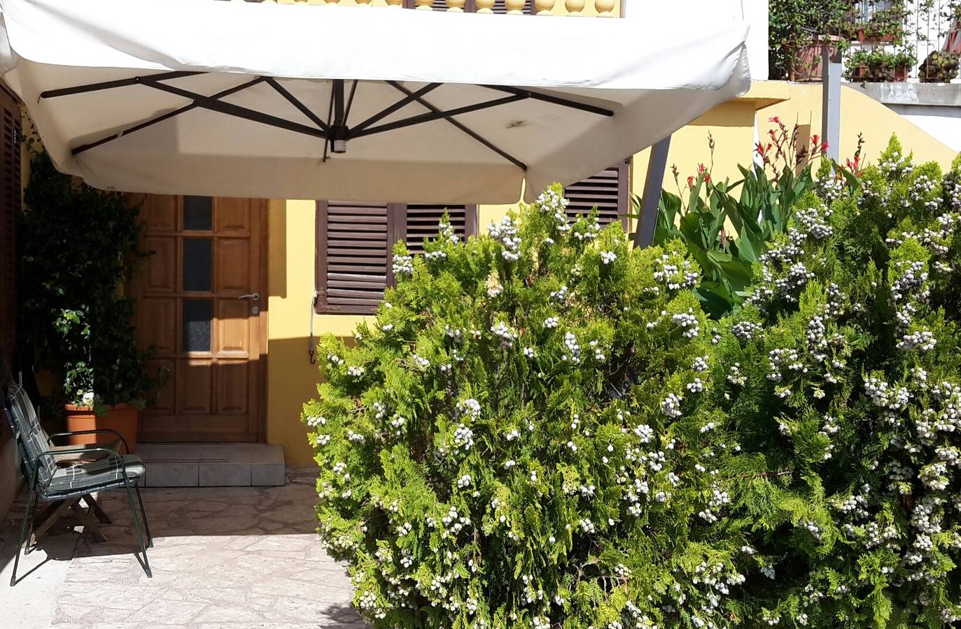 Ganze Wohnung, Studio Appartement mit Balkon und Meerblick Posedarje, Novigrad As-15786-b in Novigradsko More, Zadar
