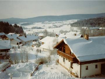 Ferienwohnung für 4 Personen in Bischofsmais, Vorderer Bayerischer Wald, Bild 3