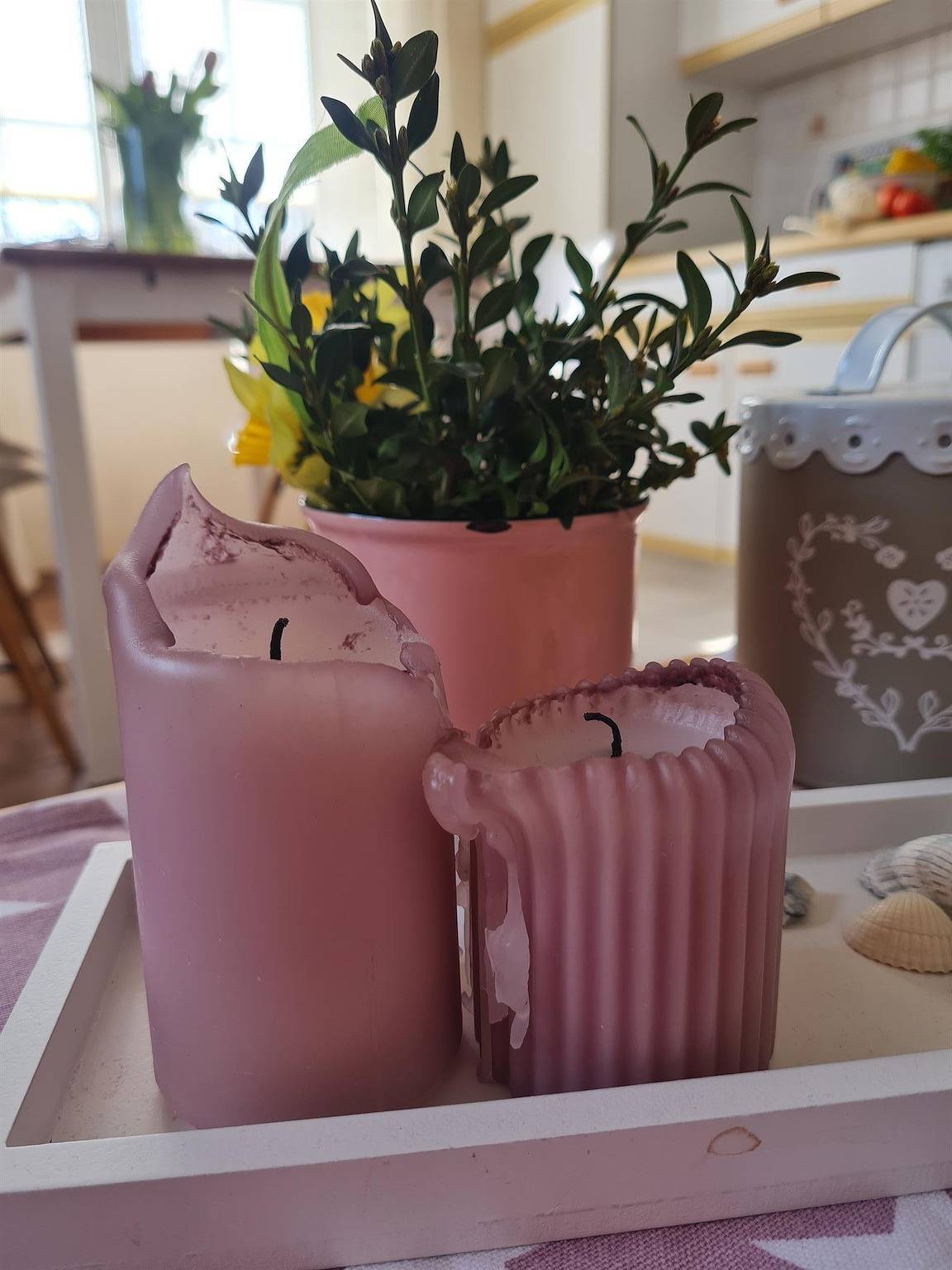 Ganze Ferienwohnung, Ferienwohnung Fink in Eiderstedt