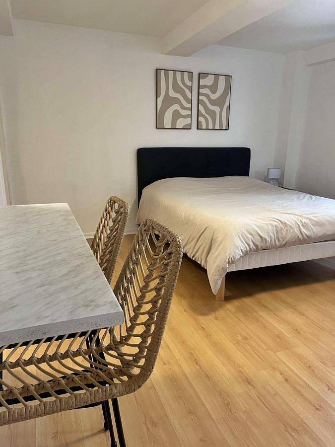 Appartement entier, Studio Cosy Centre-ville de Morhange in Morhange (Moselle), Région de Forbach