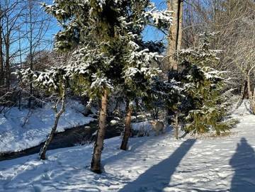 Ferienpark für 4 Personen in Nesselwang, Allgäuer Alpen, Bild 2