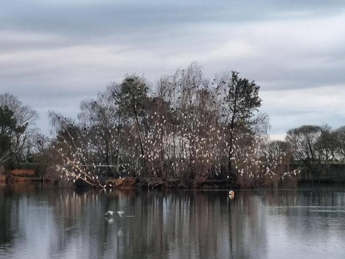 Location de vacances pour 2 personnes, avec jardin et terrasse à Plessé - 4